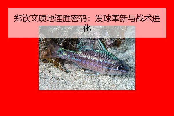 郑钦文硬地连胜密码：发球革新与战术进化