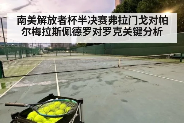 南美解放者杯半决赛弗拉门戈对帕尔梅拉斯佩德罗对罗克关键分析